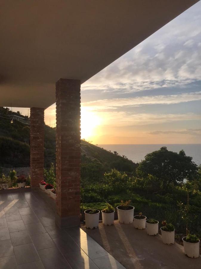 Grand Seaview Apartments คซามิล ภายนอก รูปภาพ
